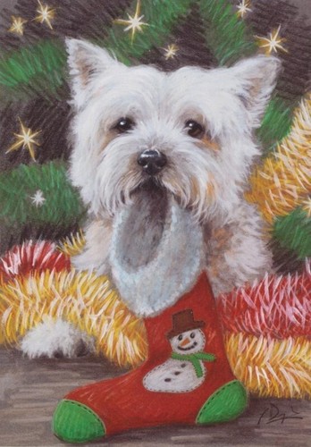 West highland westie terrier - westie,