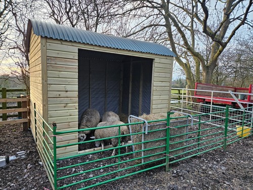 Horse field shelter - field, shepherd