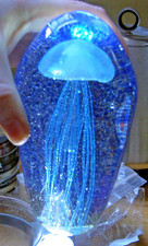 STUNNING JELLYFISH LARGE ART