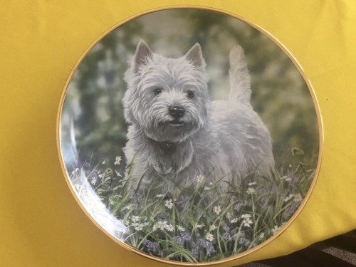 West highland westie plate - west,