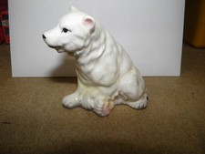 VINTAGE WHITE SITTING POLAR