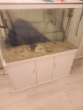 My beloved 4ft tank can be used as vivarim. Hair line crack on side