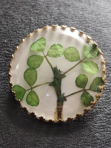Vintage irish brooch - with, real