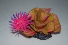 Aquarium Coral + Pink Anemone