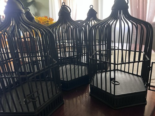 Bird cage centerpiece - cage,