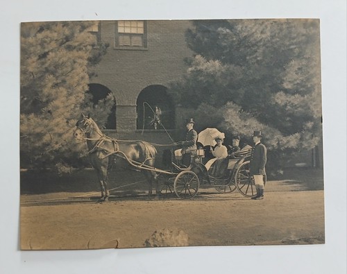Antique horse drawn - horse-drawn, carriage