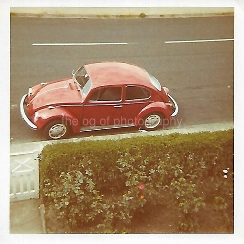 Bug classic car volkswagon - classic,
