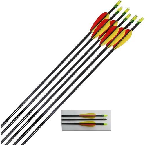 Petron archery target - target, arrows