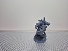 Warhammer 40K Space  Wolves