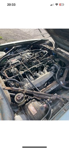 Jaguar xjs v12 engine - jaguar, he