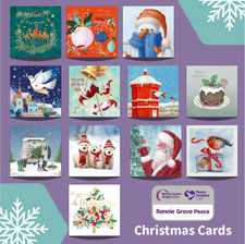10 Charity Christmas Cards & Envelopes - Plastic Free - Various Designs (SG120N)