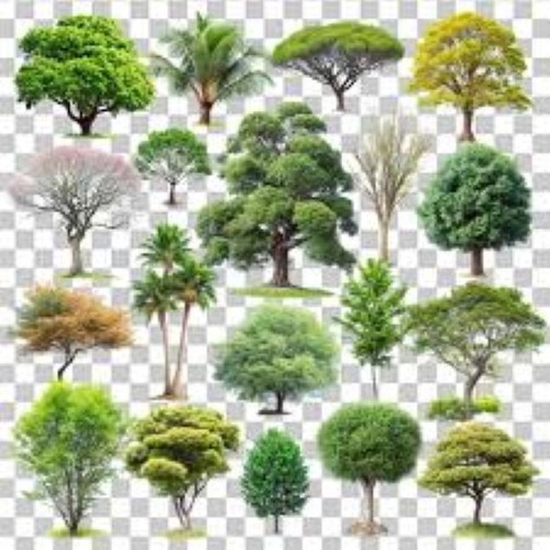 Collection 500 mixed - of,