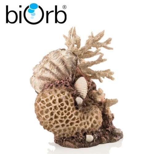 Biorb coral shells natural - biorb,