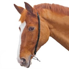 Shires Velociti GARA Chifney