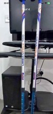 Pair Urban Poling Pole 300