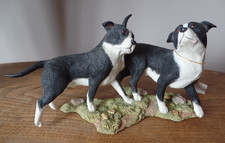 COUNTRY ARTISTS STAFFORDSHIRE