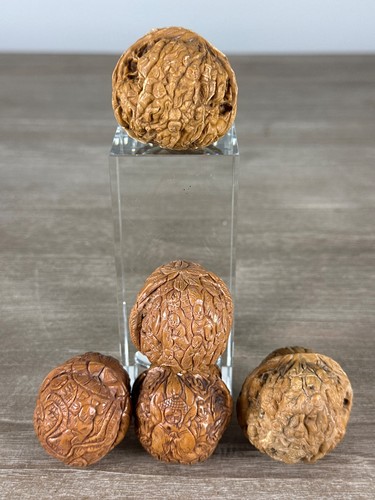Carved nuts popular art - nuts,