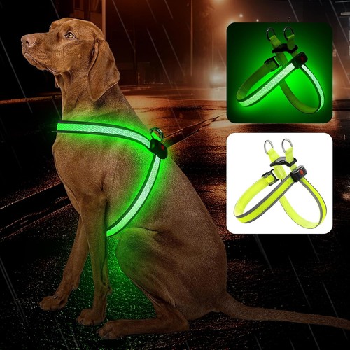 Led dog harness mesh usb - dog,