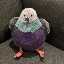 Rare leicester pigeon - rare,