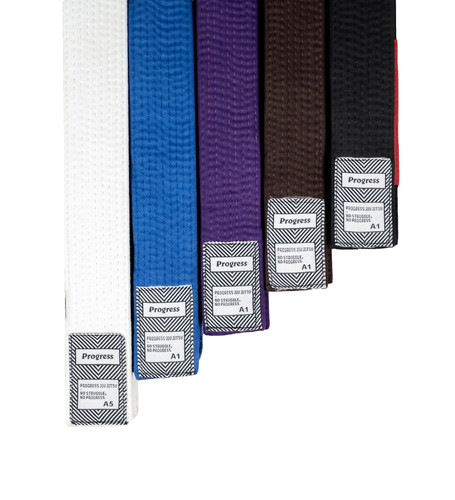 Progress bjj belt 25 - bjj, 24/25