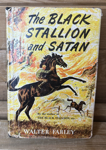 The black stallion - book, by