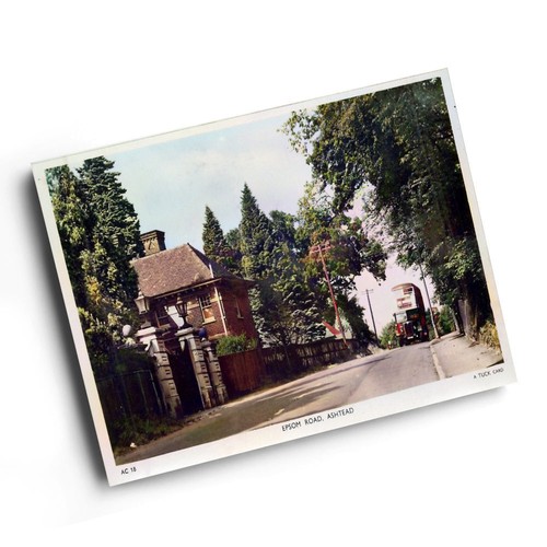 Print vintage surrey - print,