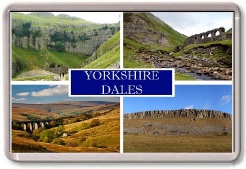 Fridge magnet yorkshire - fridge,