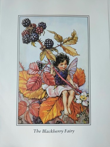 Vintage botanical flower print - vintage,