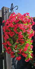 ☘️Artificial Flowers☘️ Hanging Basket Trailing☘️ Morning Glory Fuchsia 10 inch