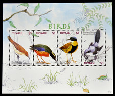 Birds warbler pitta - birds, ~