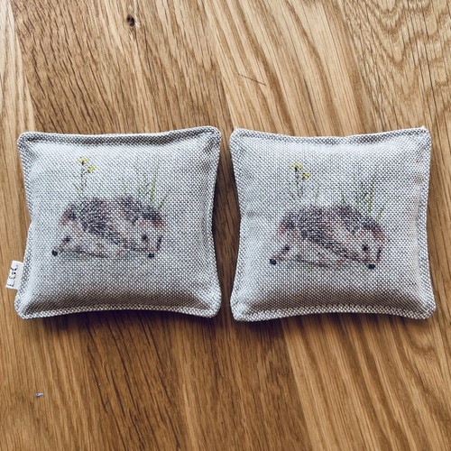 Microwavable hedgehog print