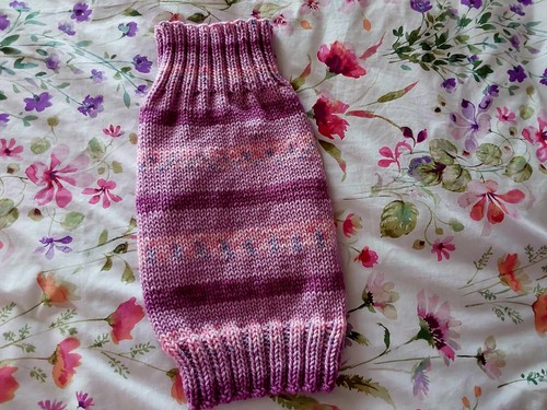 Hand knitted dog - hand,