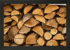 Stack of Cut Firewood Logs
