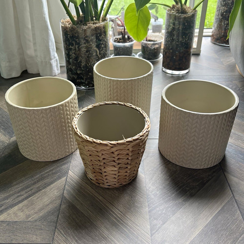 Set plant pots wilko - plant,