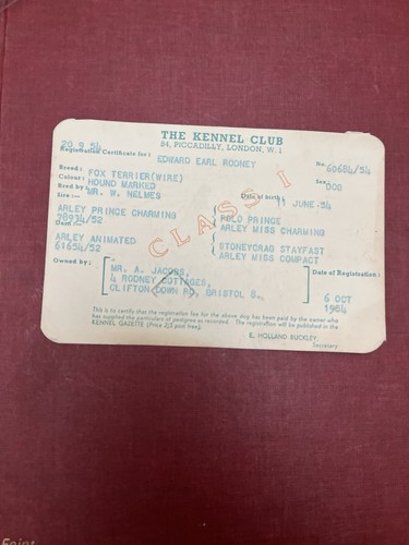 1954 kennel club - 1954,