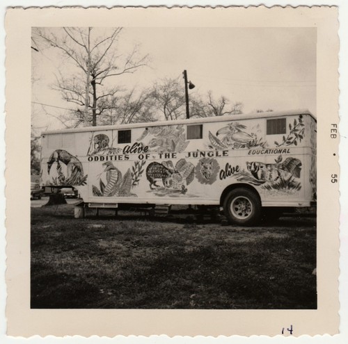 Vintage oddities the - vintage,