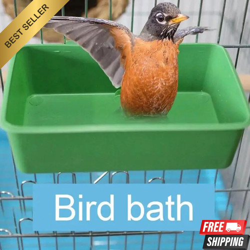 Bird water bath - water,