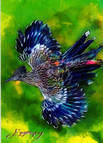 Roadrunner 2025 artist signed - roadrunner,