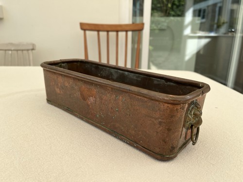 Copper planter trough with - copper,