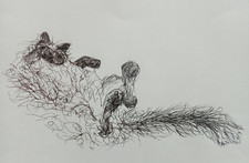 Original Pen & Ink Drawing of