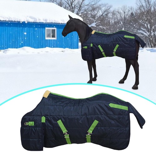 Horse blanket winter turnout - horse,