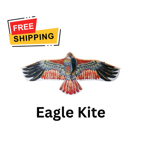 Eagle kite with 30m - eagle,