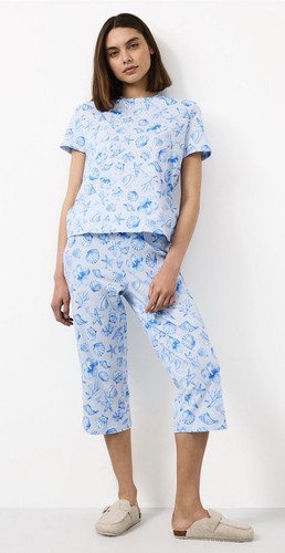 Ladies blue seashell - ladies, print