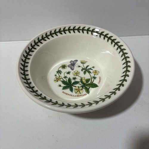 New chinquefoil portmeirion - #,