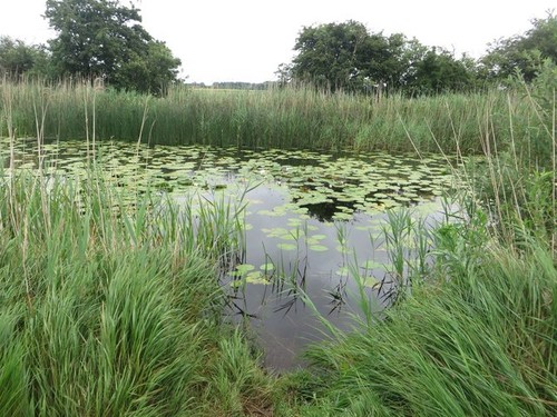 Photo 6x4 the - leven, canal