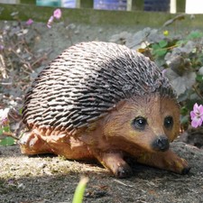 Hedgehog garden ornaments - garden,