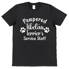 Pampered Tibetan Terrier's