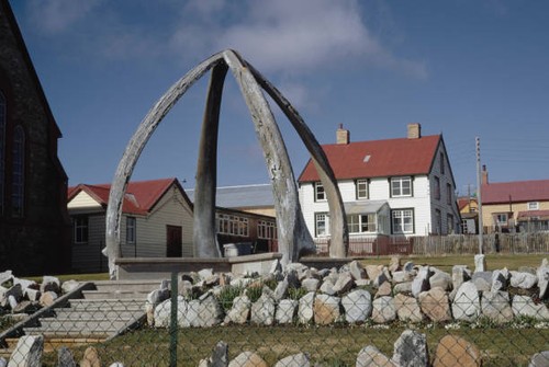 Whale bone arch stanley - whale,
