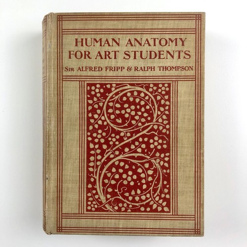 Human anatomy for art students - human,