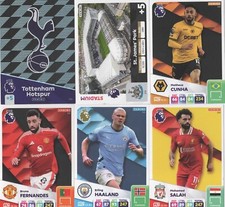 Panini Premier League